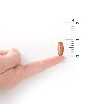 Mykind Organics Men's Once Daily - 30 vegan tabs de Garden of Life