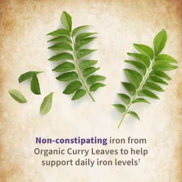 Mykind Prenatal Once Daily - 30 vegan tablets de Garden of Life