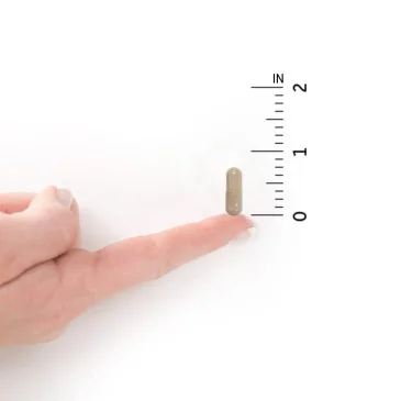 Vitamin Code Men - 120 vcaps de Garden of Life pas cher