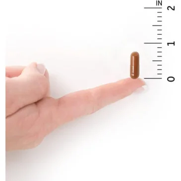 Vitamin Code Raw B-12 - 30 vegan caps de Garden of Life pas cher