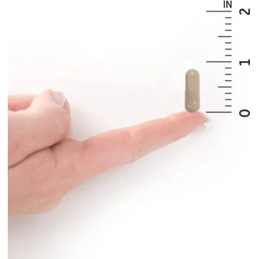 Vitamin Code Raw Vitamin C - 60 vegan caps de Garden of Life