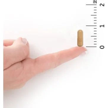 Vitamin Code Raw Vitamin E - 60 vcaps de Garden of Life