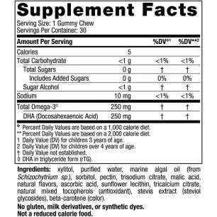 Children's DHA Vegetarian Gummy Chews, 250mg Passion Fruit Lemon - 30 gummies - Nordic Naturals