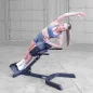 Banc lombaires 45° hyperextension - Body-Solid
