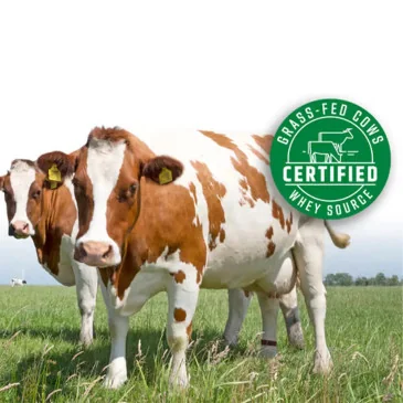 100% Whey Protein - 1000 grams de Nutrend pas cher - Nutriwellness