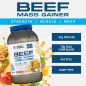 Beef Mass Gainer - 3130 grams - Applied Nutrition