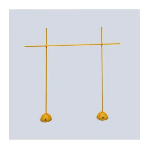 Kit base et Jalons de Sveltus pas cher - Nutriwellness