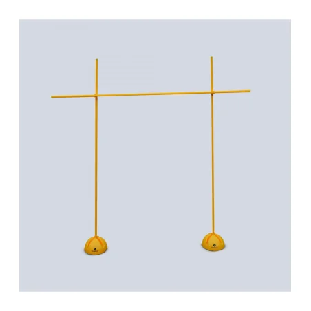 Kit base et Jalons de Sveltus pas cher - Nutriwellness