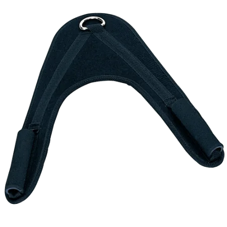 Harnais à abdominaux | Body-Solid